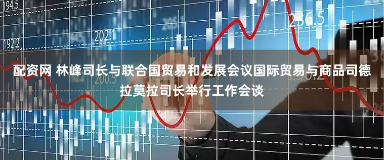 配资网 林峰司长与联合国贸易和发展会议国际贸易与商品司德拉莫拉司长举行工作会谈