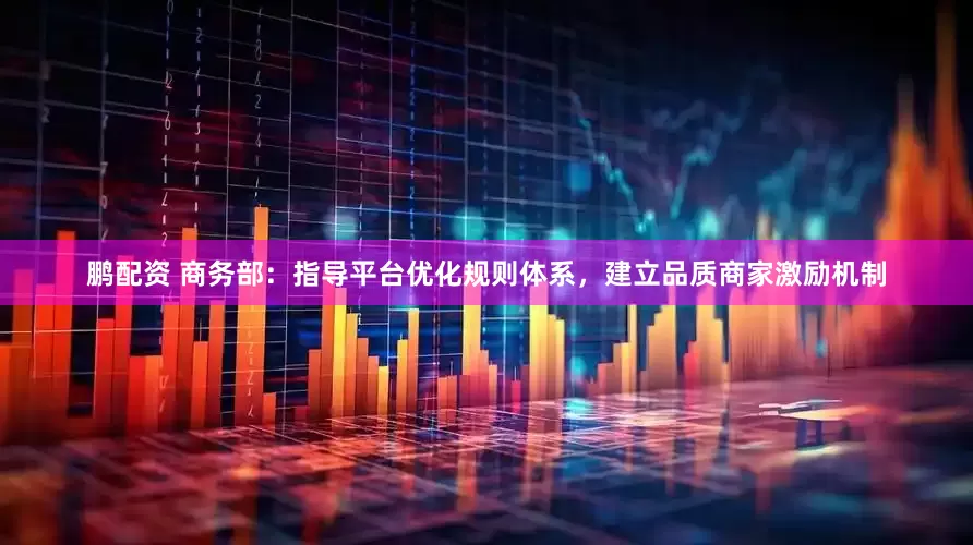 鹏配资 商务部：指导平台优化规则体系，建立品质商家激励机制